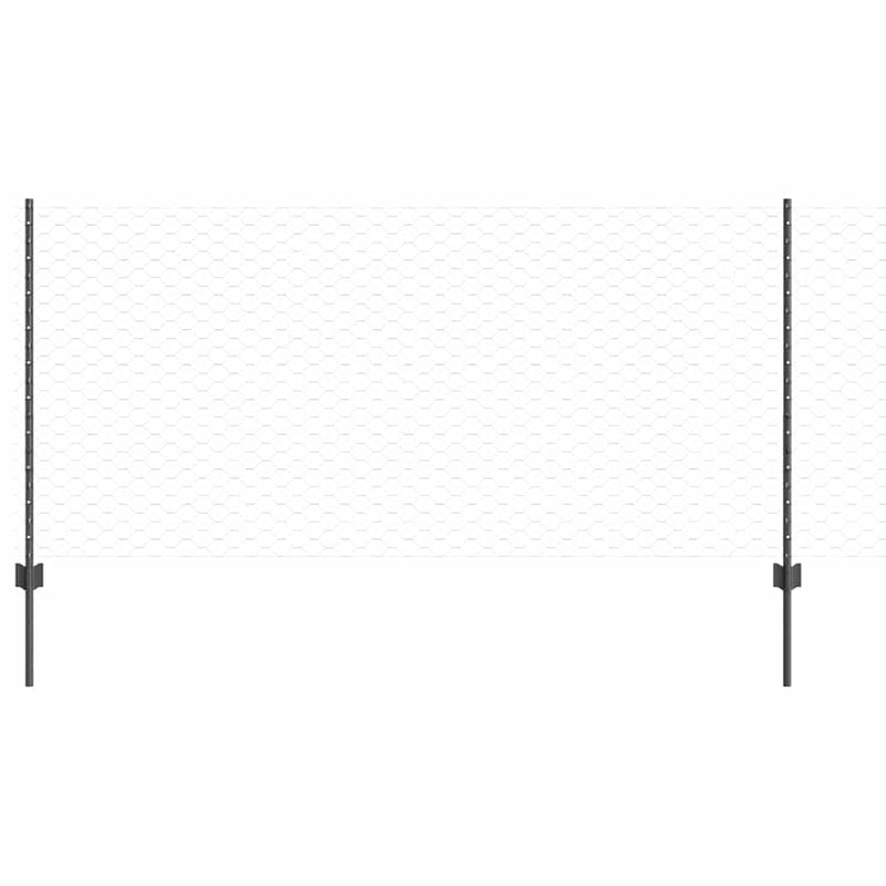 Chargez l'image dans la visionneuse de la galerie, Vidaxl hek met paal grijs 1 x 10 m staal en pvc
