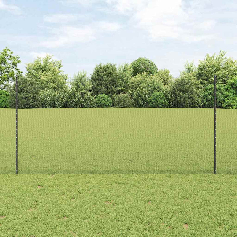 Afbeelding laden in galerijviewer, Vidaxl hek met paal grijs 1,2 x 10 m staal en pvc
