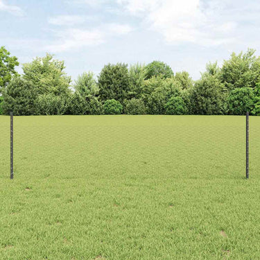 Vidaxl hek met paal grijs 0,5 x 25 m staal