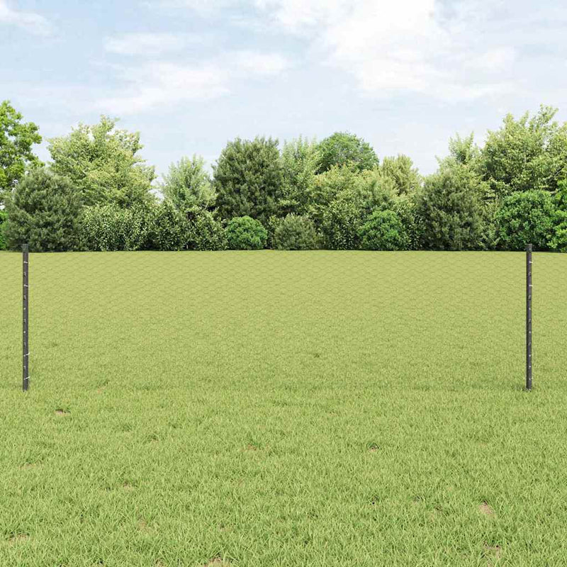 ギャラリービューアに画像をロードする, Vidaxl hek met paal grijs 0,6 x 25 m staal en pvc
