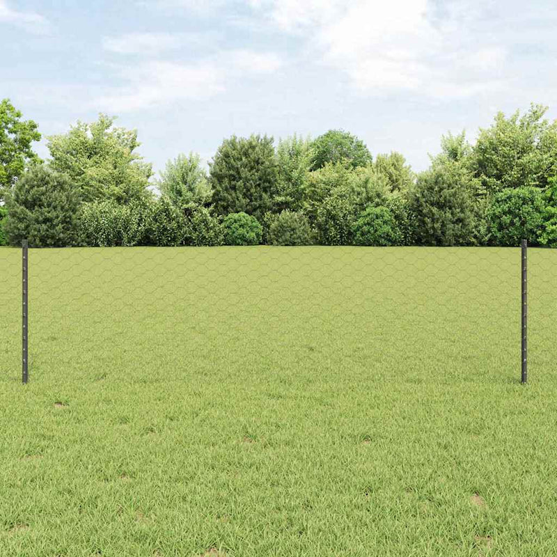 ギャラリービューアに画像をロードする, Vidaxl hek met paal grijs 0,6 x 25 m staal en pvc
