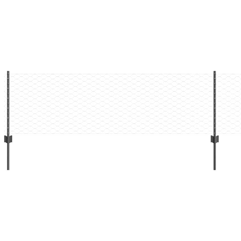 ギャラリービューアに画像をロードする, Vidaxl hek met paal grijs 0,6 x 25 m staal en pvc
