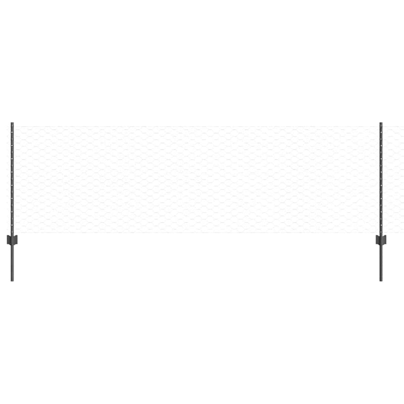 ギャラリービューアに画像をロードする, Vidaxl hek met paal grijs 0,8 x 25 m staal
