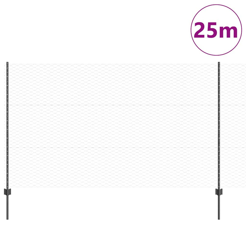 Chargez l'image dans la visionneuse de la galerie, Vidaxl hek met paal grijs 1,4 x 25 m staal
