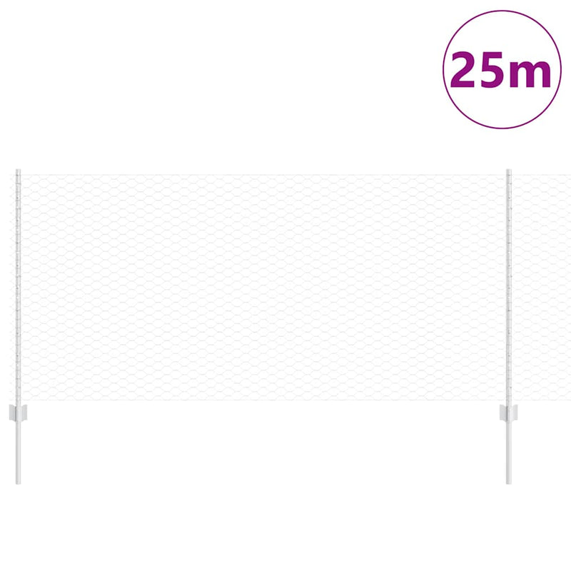 Chargez l'image dans la visionneuse de la galerie, Vidaxl hek met paal zilver 1 x 25 m staal
