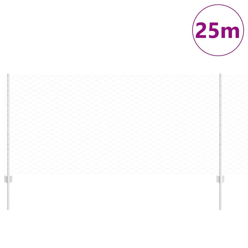 Chargez l'image dans la visionneuse de la galerie, Vidaxl hek met paal zilver 1 x 25 m staal
