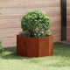 Vidaxl plantenbak roestig 60 x 60 x 35 cm cortenstaal