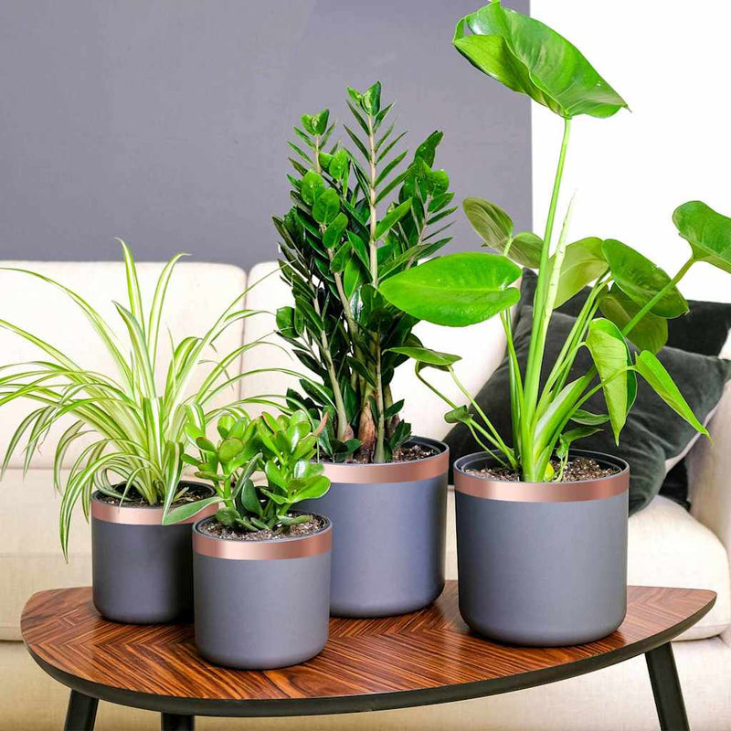 Afbeelding laden in galerijviewer, Vidaxl kopertape 6 pcs koper 2000 x 3 cm koper
