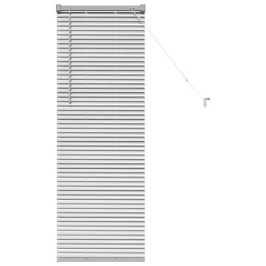 Vidaxl venetiaanse jaloezieën zilver 130 x 45 cm aluminium
