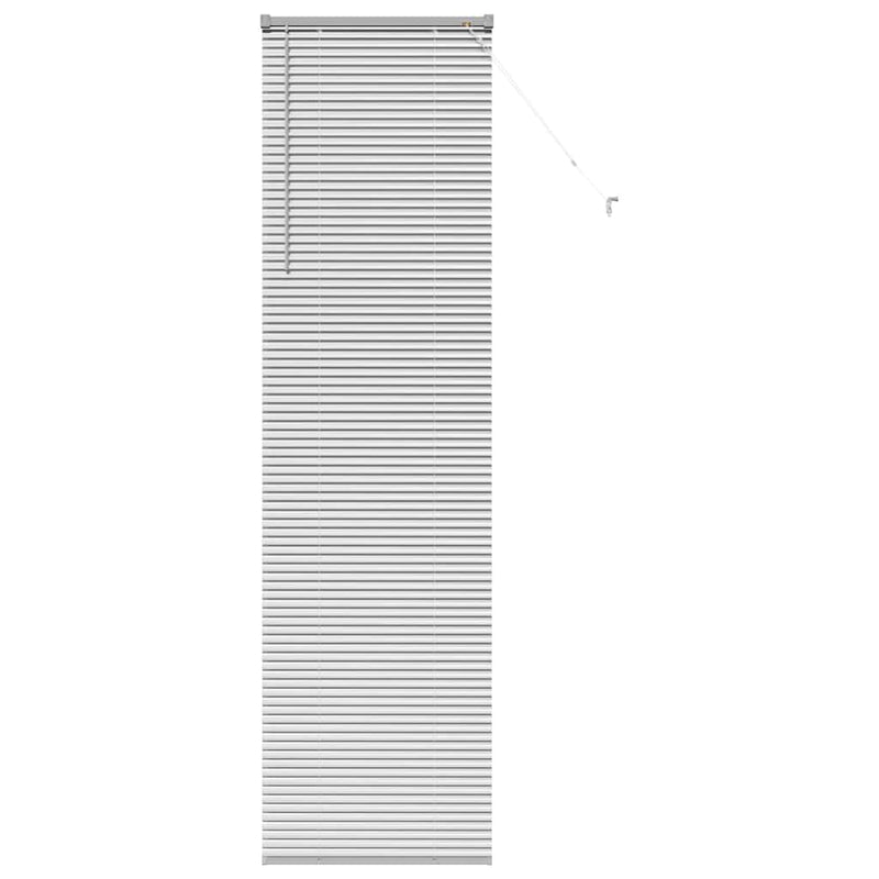 Afbeelding laden in galerijviewer, Vidaxl venetiaanse jaloezieën zilver 220 x 55 cm aluminium

