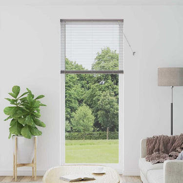 Vidaxl venetiaanse jaloezieën zilver 220 x 90 cm aluminium