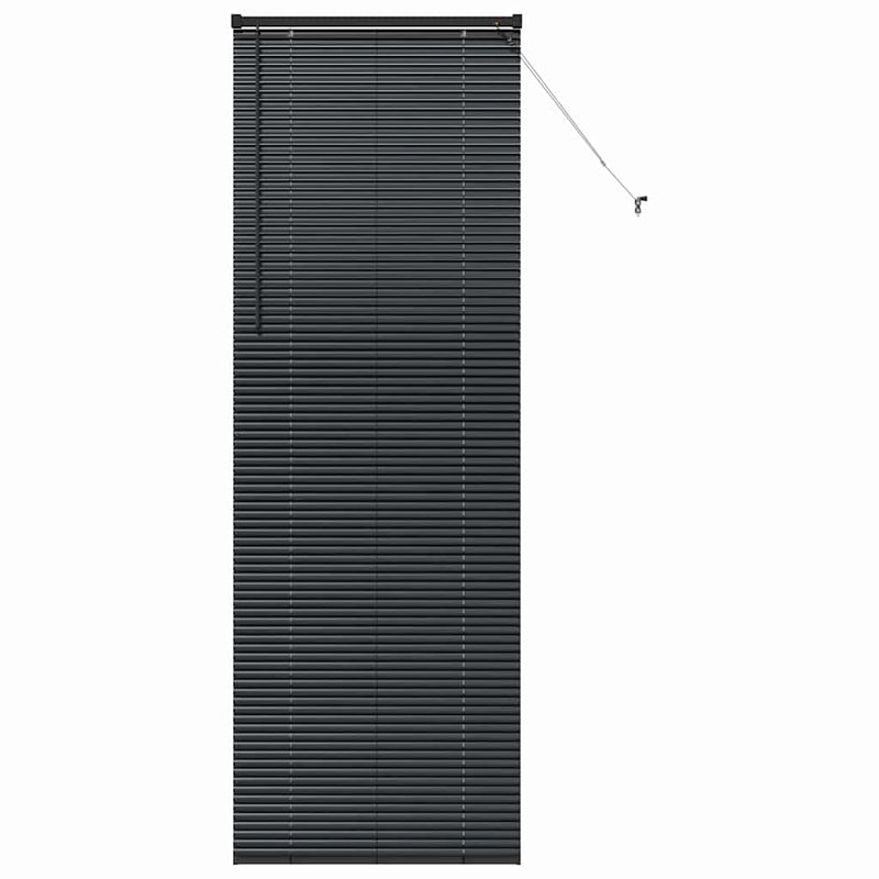 Chargez l'image dans la visionneuse de la galerie, Vidaxl venetiaanse jaloezieën zwart 220 x 75 cm aluminium
