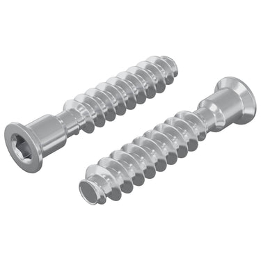 Vidaxl hoofdkapbout 2 pcs zilver m7 x 40 mm staal