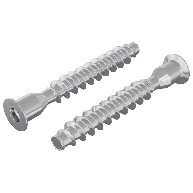 ギャラリービューアに画像をロードする, Vidaxl bevestigingsschroeven 2 pcs zilver ø7 x 50 mm metaal
