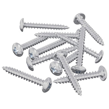 Vidaxl houten schroeven 12 pcs zilver m4 x 28 mm staal