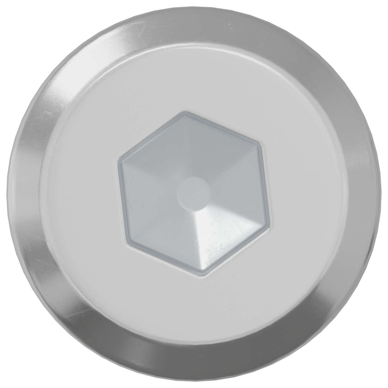 Chargez l'image dans la visionneuse de la galerie, Vidaxl slotschroef effen 2 pcs zilver m6 x 30 mm staal
