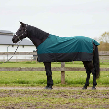 Vidaxl paardendeken donkergroen en zwart 165 cm polyester