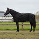 Vidaxl paardendeken donkergroen en zwart 85 cm polyester