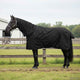 Vidaxl paardendeken donkergroen en zwart 165 cm polyester