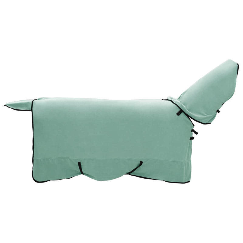 Chargez l'image dans la visionneuse de la galerie, Vidaxl paardendeken speciale groen 125 cm polyester fleece
