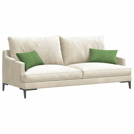 Vidaxl sofa kussens 2 stuks lichtgroen 50 x 30 cm cordstof