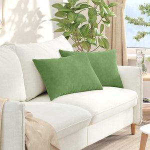 Vidaxl sofa kussens 2 stuks lichtgroen 60 x 40 cm cordstof