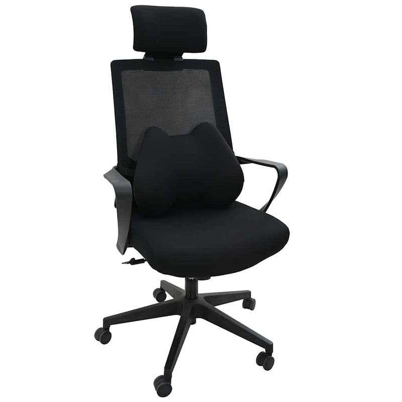Afbeelding laden in galerijviewer, Vidaxl rugkussen met kussen zwart 40 x 32 x 13 cm polyester
