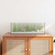 Vidaxl aquarium met opslag doorzichtig 60 x 20 x 20 cm glas