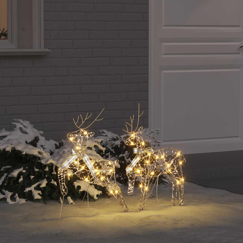 Chargez l'image dans la visionneuse de la galerie, Vidaxl led rendieren met 40 led 2 pcs warmwit pet
