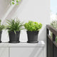 Vidaxl ronde bloempot 6 pcs zwart ø 17 x 14 cm kunststof