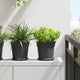 Vidaxl ronde bloempot 24 pcs zwart ø 19 x 16 cm kunststof