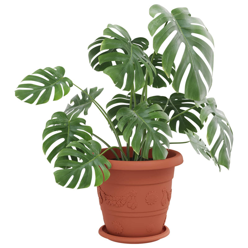 Chargez l'image dans la visionneuse de la galerie, Vidaxl plantenpotten 24 pcs baksteenrood ø 26 x 21.5 cm kunststof
