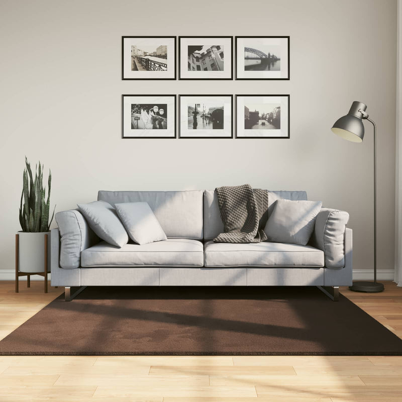 Afbeelding laden in galerijviewer, Vidaxl vloerkleden vierkant huarte bruin 160 x 160 cm polyester
