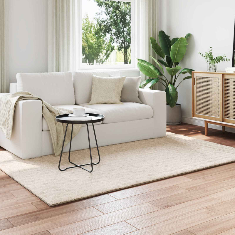 Chargez l'image dans la visionneuse de la galerie, Vidaxl vloerkleden rechthoekig huarte beige 230 x 160 cm polyester

