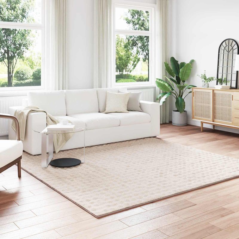 Afbeelding laden in galerijviewer, Vidaxl vloerkleden vierkant huarte beige 240 x 240 cm polyester
