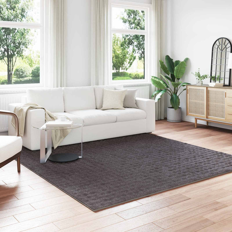 Afbeelding laden in galerijviewer, Vidaxl vloerkleden vierkant huarte antraciet 240 x 240 cm polyester
