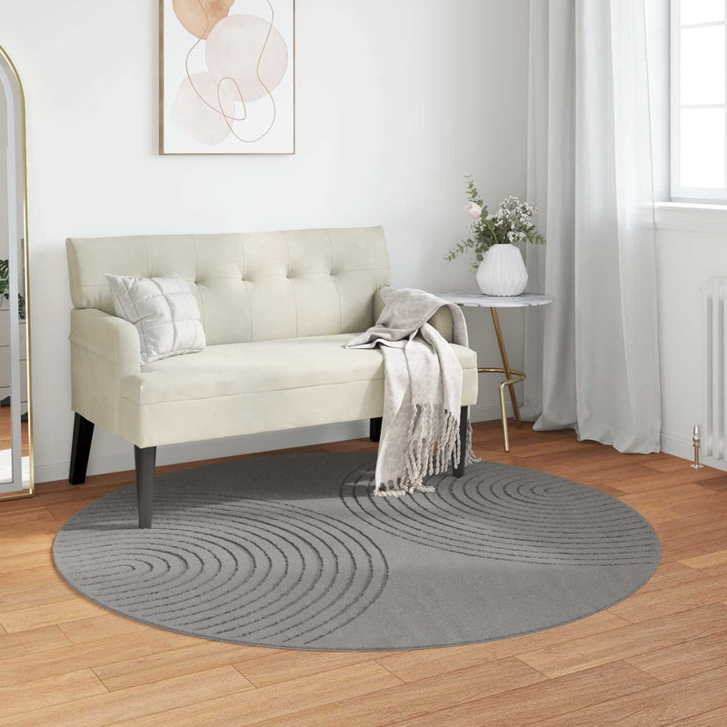 ギャラリービューアに画像をロードする, Vidaxl vloerkleden rond huarte grijs ø 120 cm polyester
