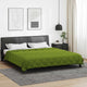 Vidaxl vol jaar dekbed groen 200 x 200 cm microfiber