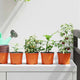 Vidaxl bloempot 100 pcs terracotta ø 15 x 12.5 cm kunststof