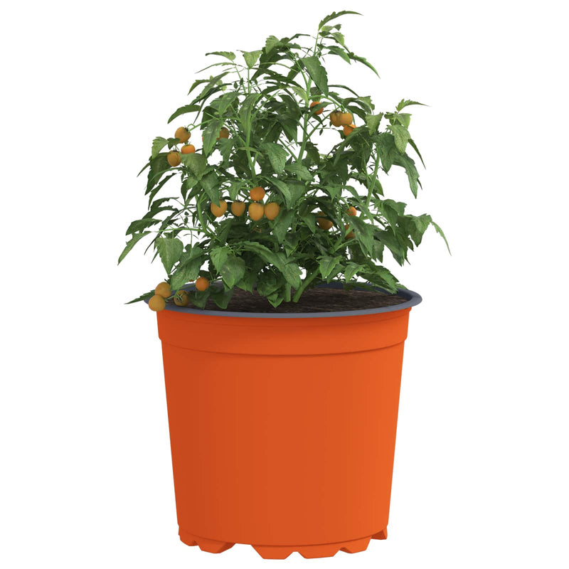 Afbeelding laden in galerijviewer, Vidaxl bloempot 50 pcs terracotta ø 15 x 13 cm kunststof
