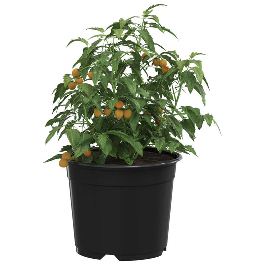 Vidaxl bloempot 200 pcs zwart ø 15 x 12.5 cm kunststof