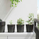 Vidaxl bloempot 100 pcs zwart ø 15 x 13 cm kunststof