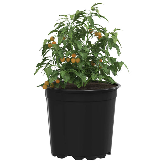 Vidaxl bloempot 100 pcs zwart ø 15 x 13 cm kunststof