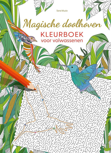 Deltas magische doolhoven kleurboek volwassenen