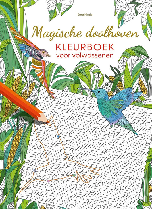 Deltas magische doolhoven kleurboek volwassenen