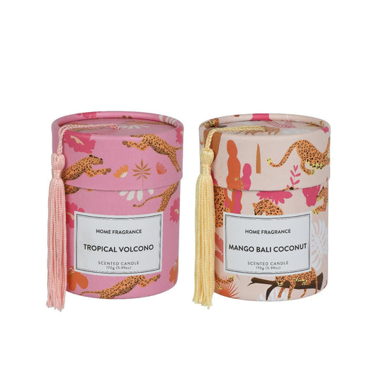Decoris geurkaars in doos ã˜8,5xh10,5cm 2 assorti