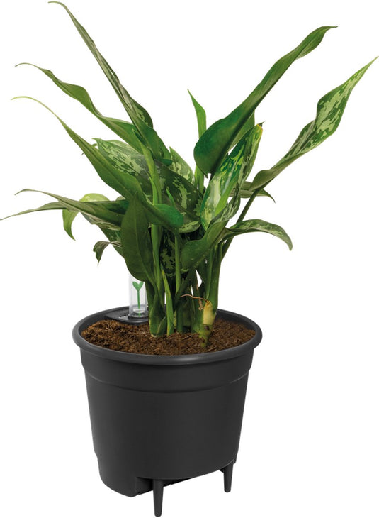 Elho self-watering insert 28 - binnenpot met watermeter - ø 27.7 x h 25.5 cm - living black