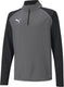 Puma teamliga 1 4 zip top jr unisex sportshirt - smoked pearl- white