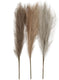Creativ company pampa gras aardetinten 50 cm 3 stuks