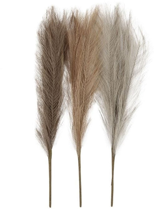 Creativ company https: www.cchobby.nl pampasgras-l-50-cm-licht-beige-lichtbruin-lichtgrijs-3-stuk-1-bol